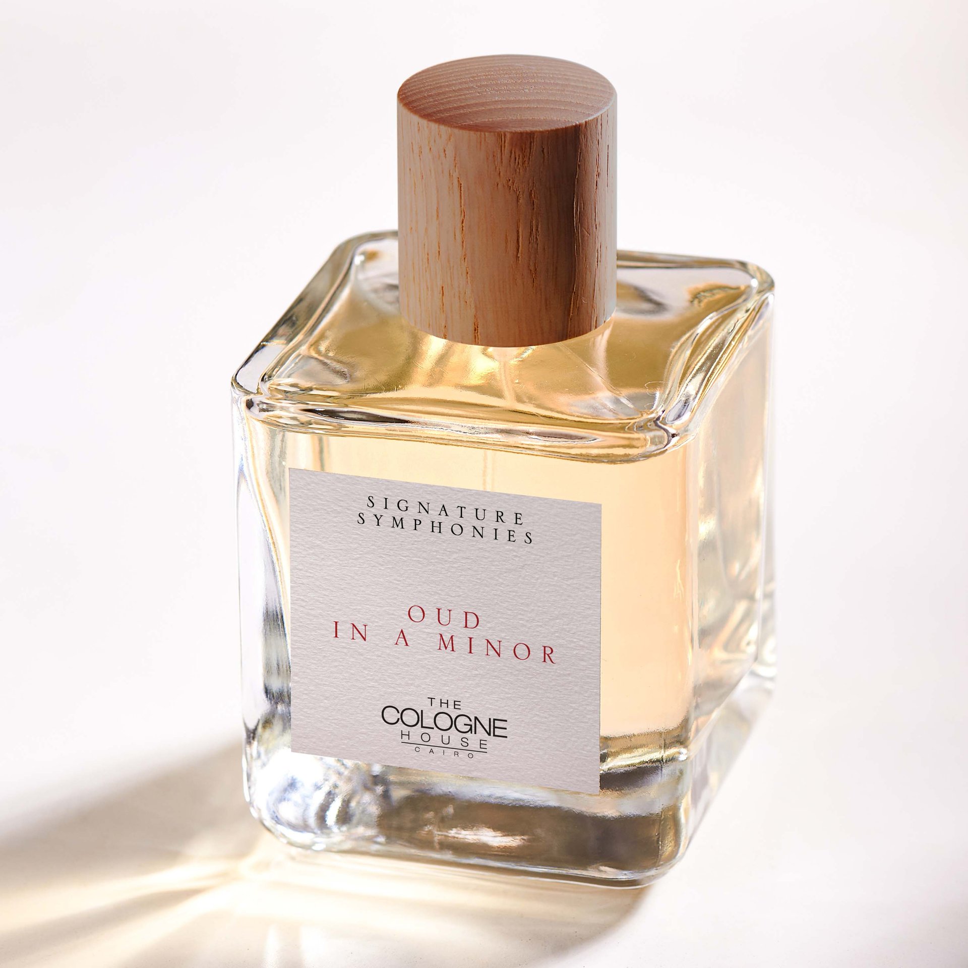 Oud in a Minor by The Cologne House perfume bottle