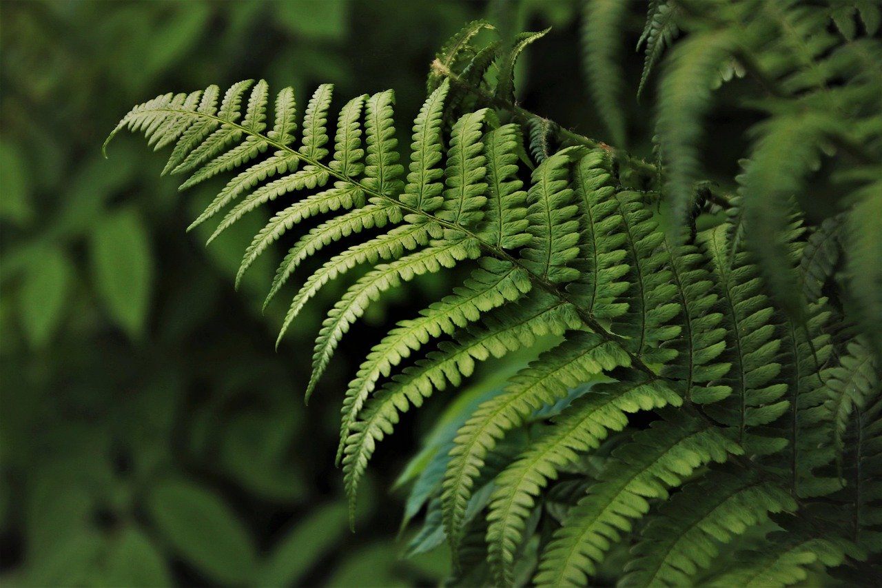 greenery
