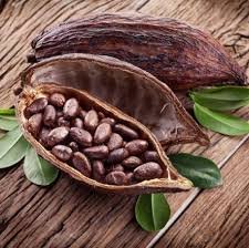 Picture of Cocoapulse note