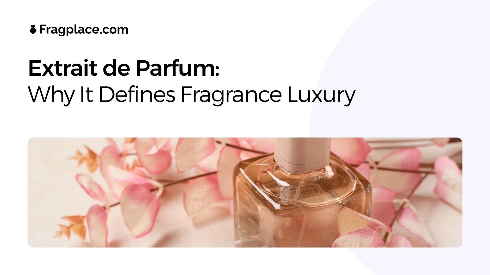 Extrait de Parfum: The Concentration Worth Paying For (And When It Isn't)