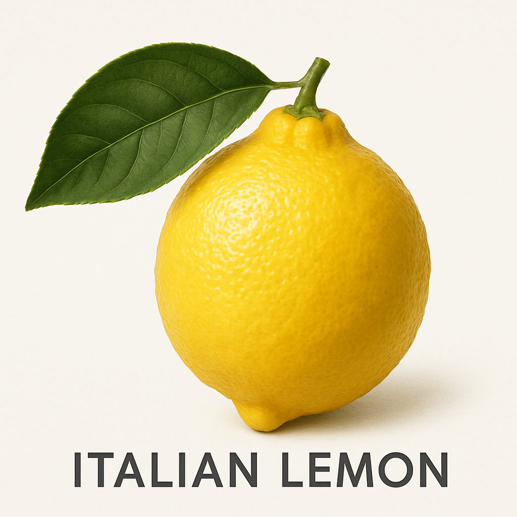 Picture of Italian Lemon note