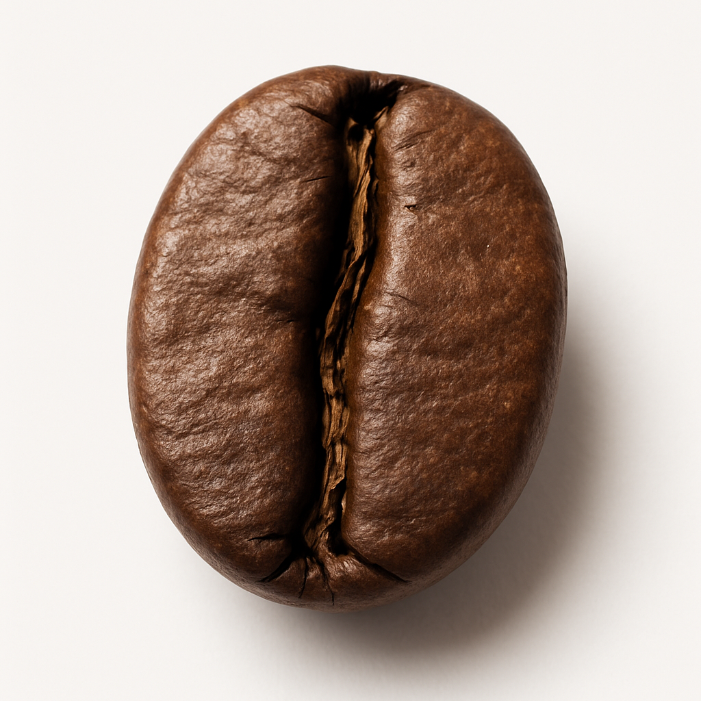 Picture of Coffee Bean note
