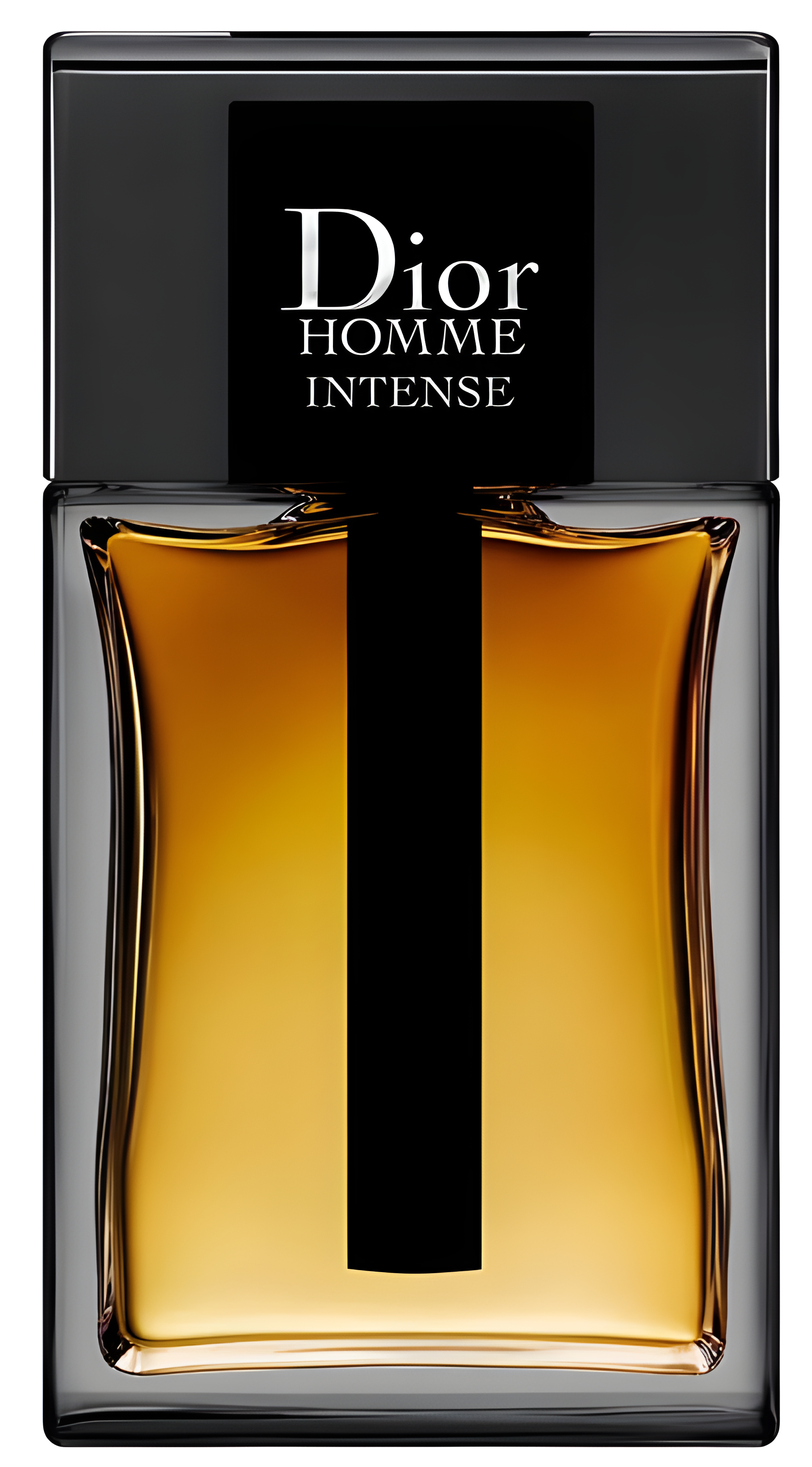 Vivid Definitons Dior Homme Intense 2011 Christian Dior | Fragrance Review | Handsome Smells