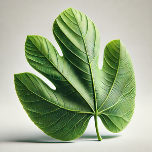 Fig Leaf - undefined