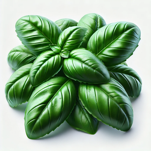 Basil - undefined