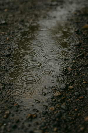 Petrichor