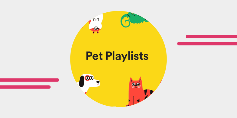 Create Playlists For Pets